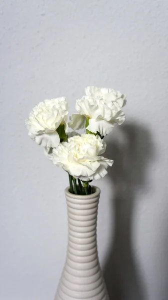 Five white carnations — Stock Photo, Image