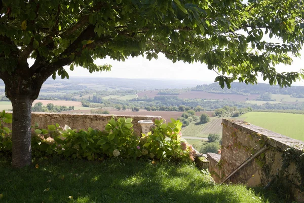 Kijk op de heuvel van Vezelay met een branchy boom — Stockfoto