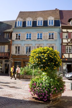 A view in Colmar city with a flower composition. Alsace, France