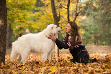 Samoyed köpeğiyle parkta yürüyen genç bir kadın.