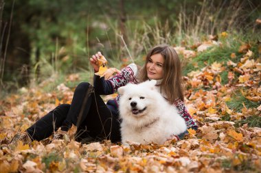 Genç ve güzel bir kadın sonbahar parkında Samoyed köpeğiyle oynuyor ve yürüyor..