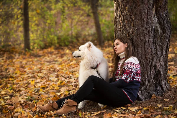 Ung Vacker Kvinna Vilar Höstparken Ett Träd Med Sin Hund — Stockfoto