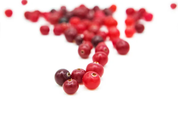 Cranberry Orgânico Maduro Isolado Fundo Branco Opy Espaço Fundo Branco — Fotografia de Stock