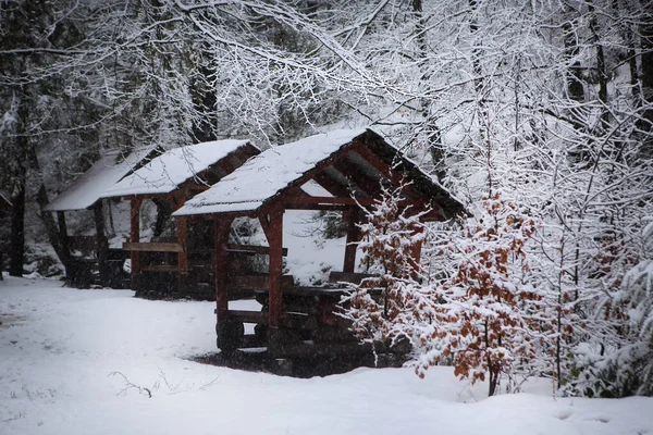 Krásné Dřevěné Domy Zasněženém Lese Během Vánice Karpatské Hory — Stock fotografie
