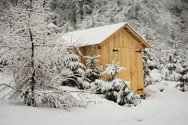 Prachtige Houten Huizen Een Besneeuwd Bos Tijdens Een Sneeuwstorm Karpaten — Stockfoto