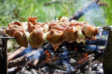 Şiş üzerinde soğan ve baharatla sulu et doğada ateşte kızartılır. Barbekü. Piknik. Izgara.