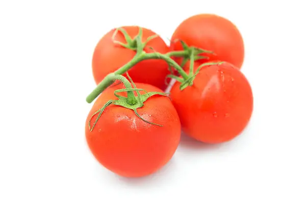 Fresh Ripe Organic Tomatoes Branch Water Drops Isolated White Background — Stock Photo, Image