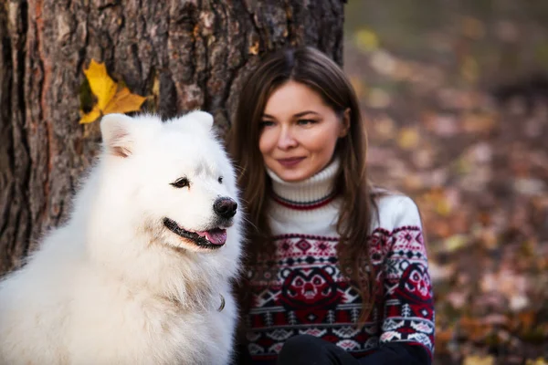 Porträtt Hund Med Ägare För Promenad Höstparken — Stockfoto