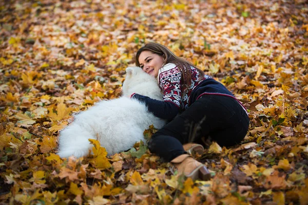 Vacker Ung Flicka Ligger Fallna Löv Parken Kramar Sin Hund — Stockfoto