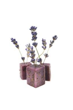 Beyaz arka planda lavanta çiçekli organik peynir. Lavanta ürünleri.