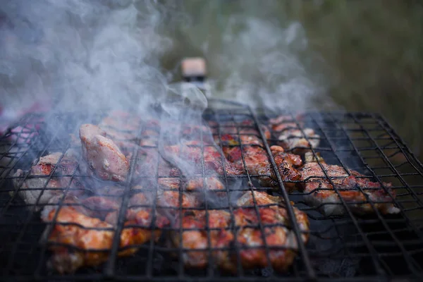 Šťavnaté Maso Smaží Ohni Přírodě Grilování Piknik Gril — Stock fotografie