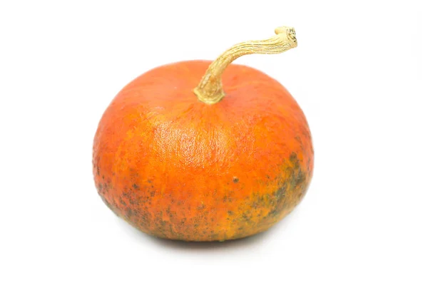 Ripe Fresh Organic Pumpkin Whole Isolated White Background — Stock Photo, Image