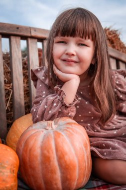Sonbahar bahçesinde doğal olgun balkabaklarıyla süslenmiş ahşap bir bankta oturan mutlu, komik küçük kız çocuğu. Cadılar Bayramı için arka plan, Şükran Günü. Hasat. Satılık. Sonbahar mevsimi.