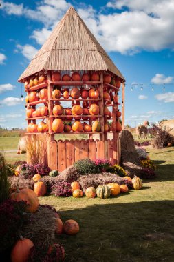 Sonbahar panayırında balkabağı evi. Cadılar Bayramı, Şükran Günü ve sonbahar kutlamaları için açık hava tatil süslemeleri. Sonbahar hasat festivalleri bir şehir parkında ya da sokakta.
