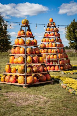 Sonbahar festivalinde balkabağı piramitleri. Cadılar Bayramı, Şükran Günü ve sonbahar kutlamaları için açık hava tatil süslemeleri. Sonbahar hasat festivalleri bir şehir parkında ya da sokakta.