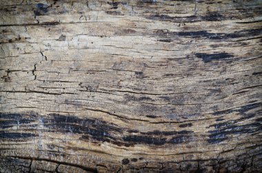 wooden background _