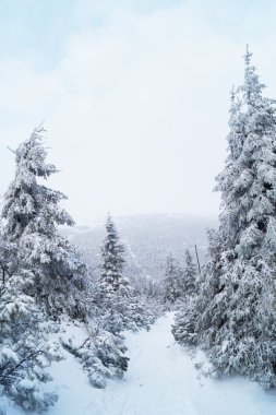 Avrupa dağlar - Krkonose