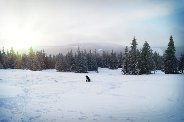 European Mountains - Krkonose — Stock Photo, Image