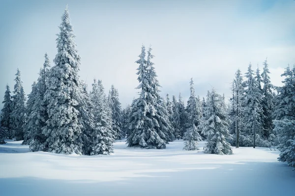 Avrupa dağlar - Krkonose