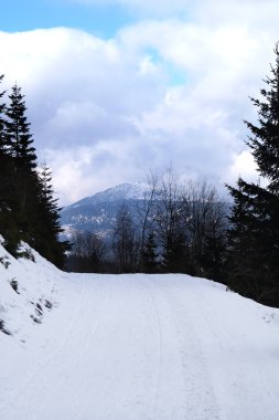 karlı dağ manzarası