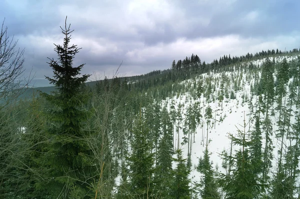 Besneeuwde berglandschap — Stockfoto