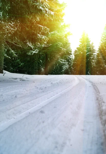 Pista da sci di fondo — Foto Stock