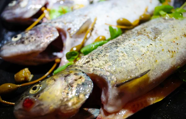 Forel Klaar Voor Bakken — Stockfoto