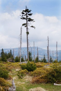 Çek dağlar - Krkonose