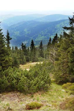 Çek dağlar - Krkonose