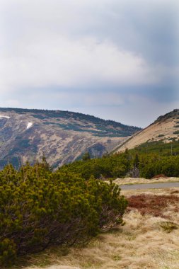 Çek dağlar - Krkonose