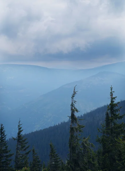 Çek dağlar - Krkonose — Stok fotoğraf