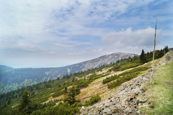 Czech mountains - Krkonose — Stock Photo, Image