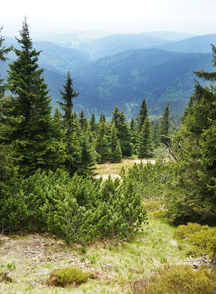 Çek dağlar - Krkonose