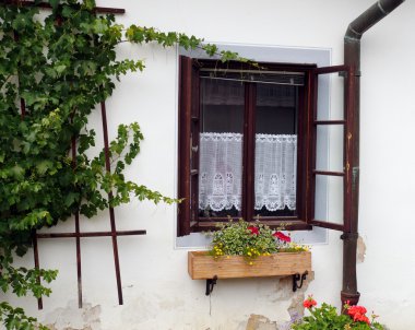 Çek şehir - Cesky Krumlov