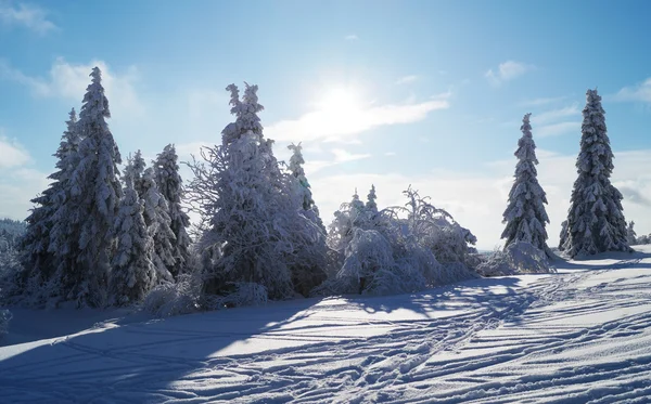 Snowy Mountain Landscape — Stockfoto