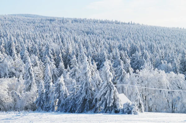 Verschneite Berglandschaft — Stockfoto