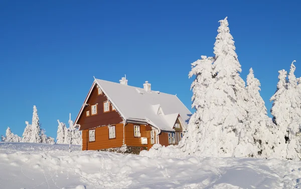 karlı dağ manzarası