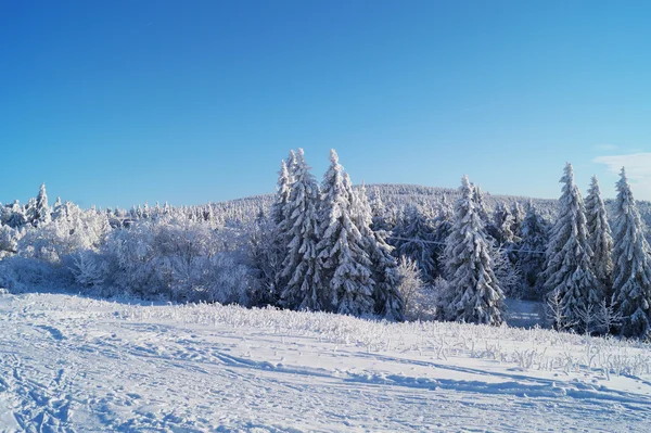 雪に覆われた山の風景 — ストック写真