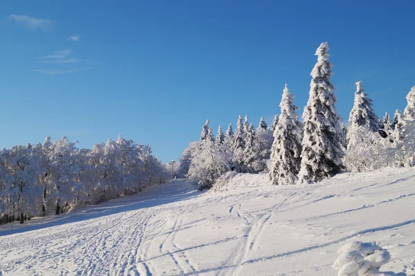 Besneeuwde berglandschap — Stockfoto