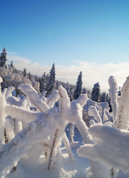 Montaña nevada paisaje — Foto de Stock
