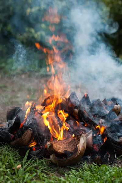 Cáscaras de coco con fuego — Foto de Stock
