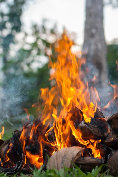 Cáscaras de coco con fuego — Foto de Stock