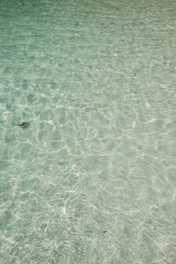 Yeşil Kristal berraklığında su okyanusun