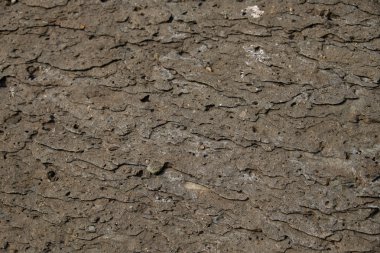 Sahilde taş veya rock arka plan