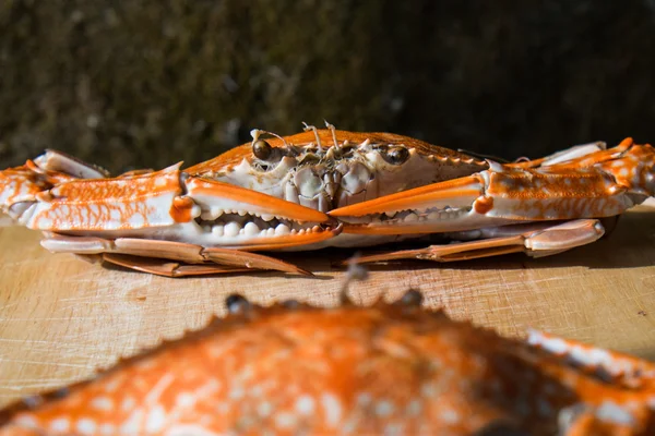 Crabs boiled — Stock Photo, Image