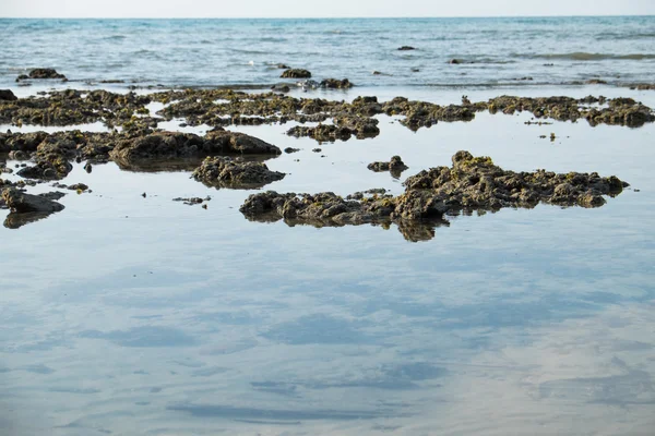 Rocks on the beach — Stock Photo, Image