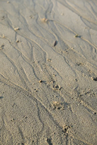 Textura písečné pláže — Stock fotografie