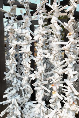 Sapporo, Japonya - Nisan 27,2015: muska, hokkaido jingu Şinto