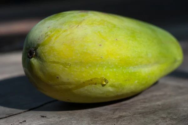 Frutos de manga — Fotografia de Stock