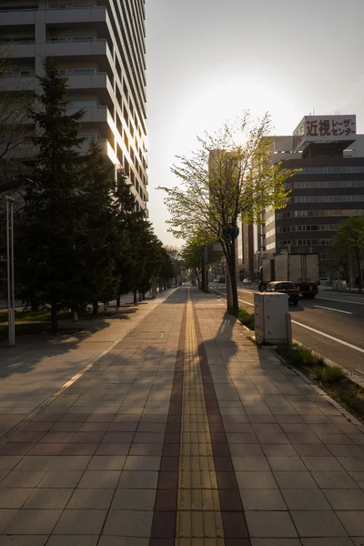 Paysage urbain de Sapporo (Vue journalière) - 28 AVRIL 2015 : Sapporo est le — Photo